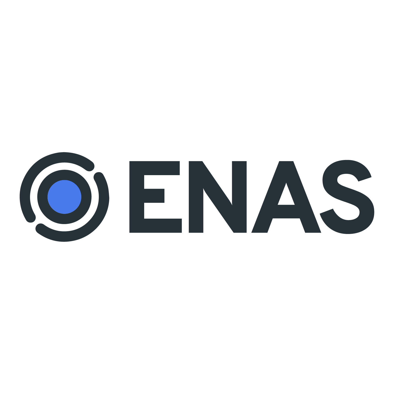 Enas_logo